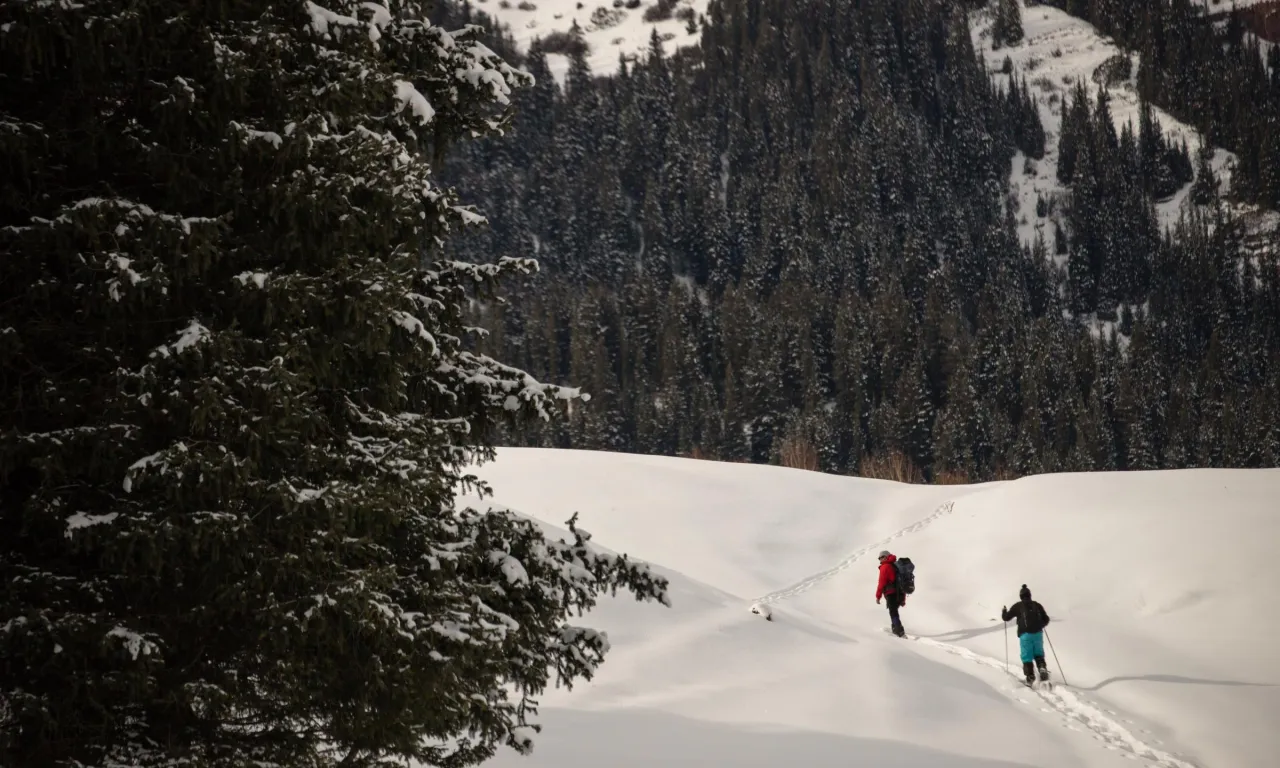 
            Excursiones con raquetas de nieve
      